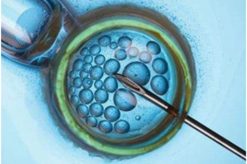 沈阳供卵助孕科普：卵泡里面空的是什么情况？拉拉必读